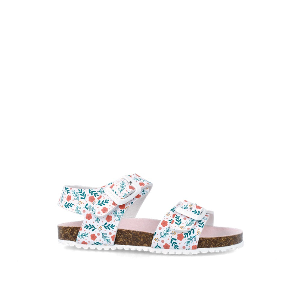 2624767